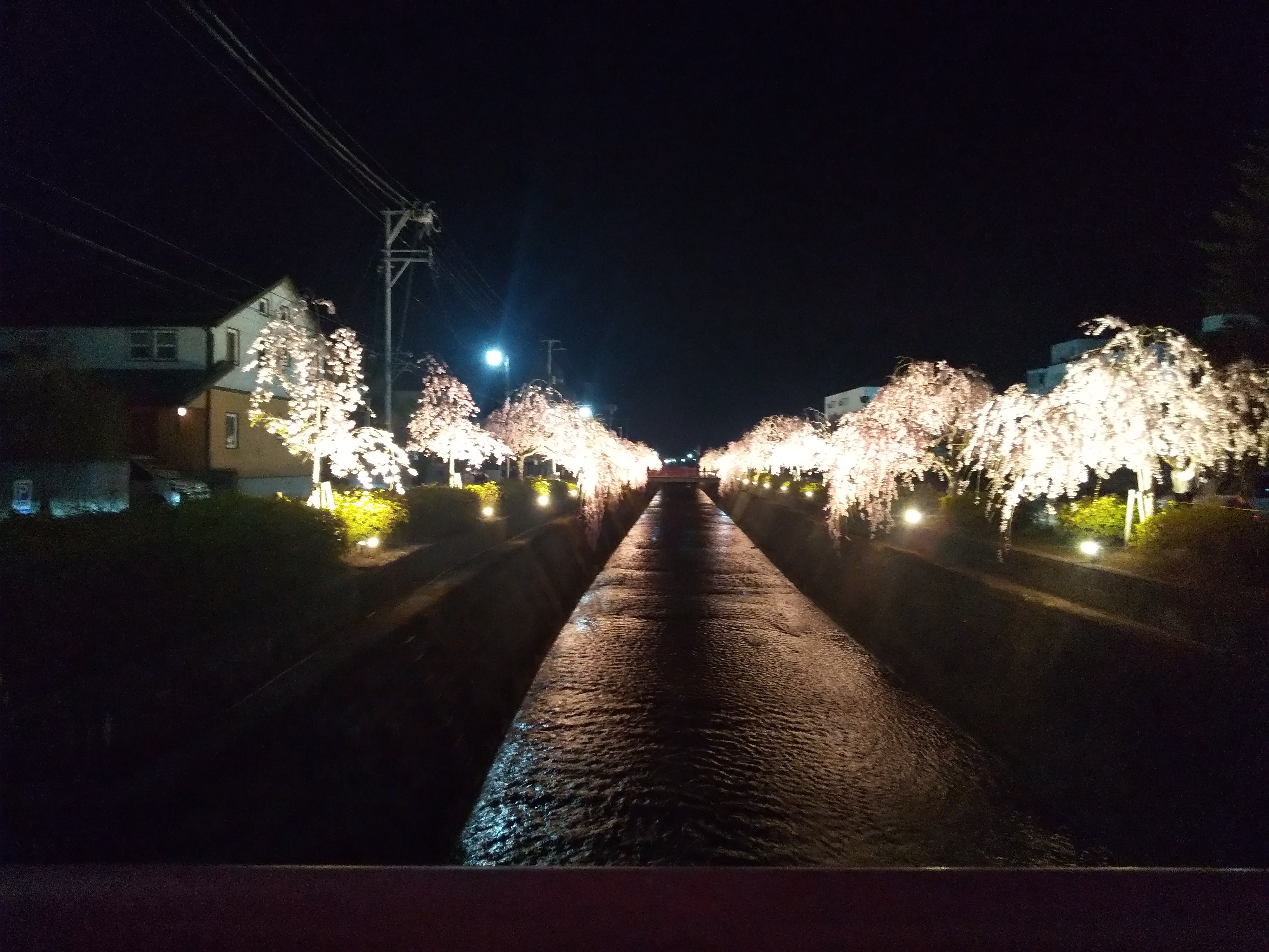 DSC_1939.JPG