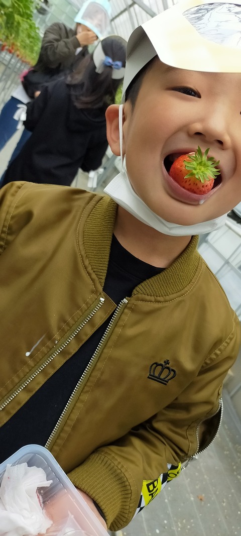 IMG20220417112414