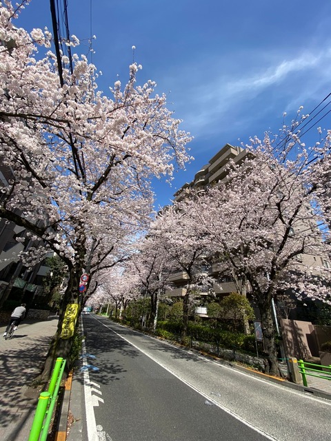 4F0AD4F4-D0EC-46C2-93E7-CC406FBE41A5