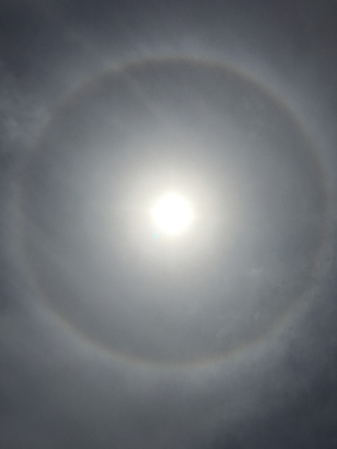 B817EBD3-8D03-4281-8C51-0D1E518009CE