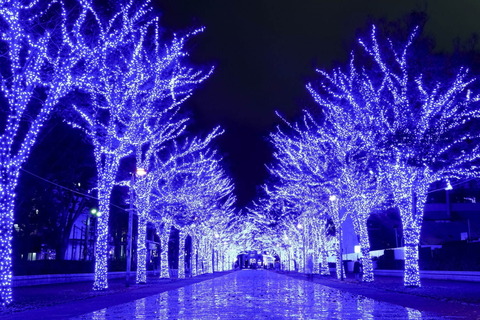 3E80F2EE-DD1A-44C8-AB4E-3C001E553306