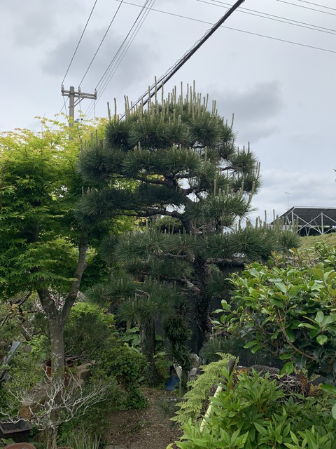 FF84E2C6-B588-4460-A884-5C83A04FD0C3