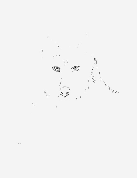 090ADD34-FA77-48A1-B656-36591102B1E2