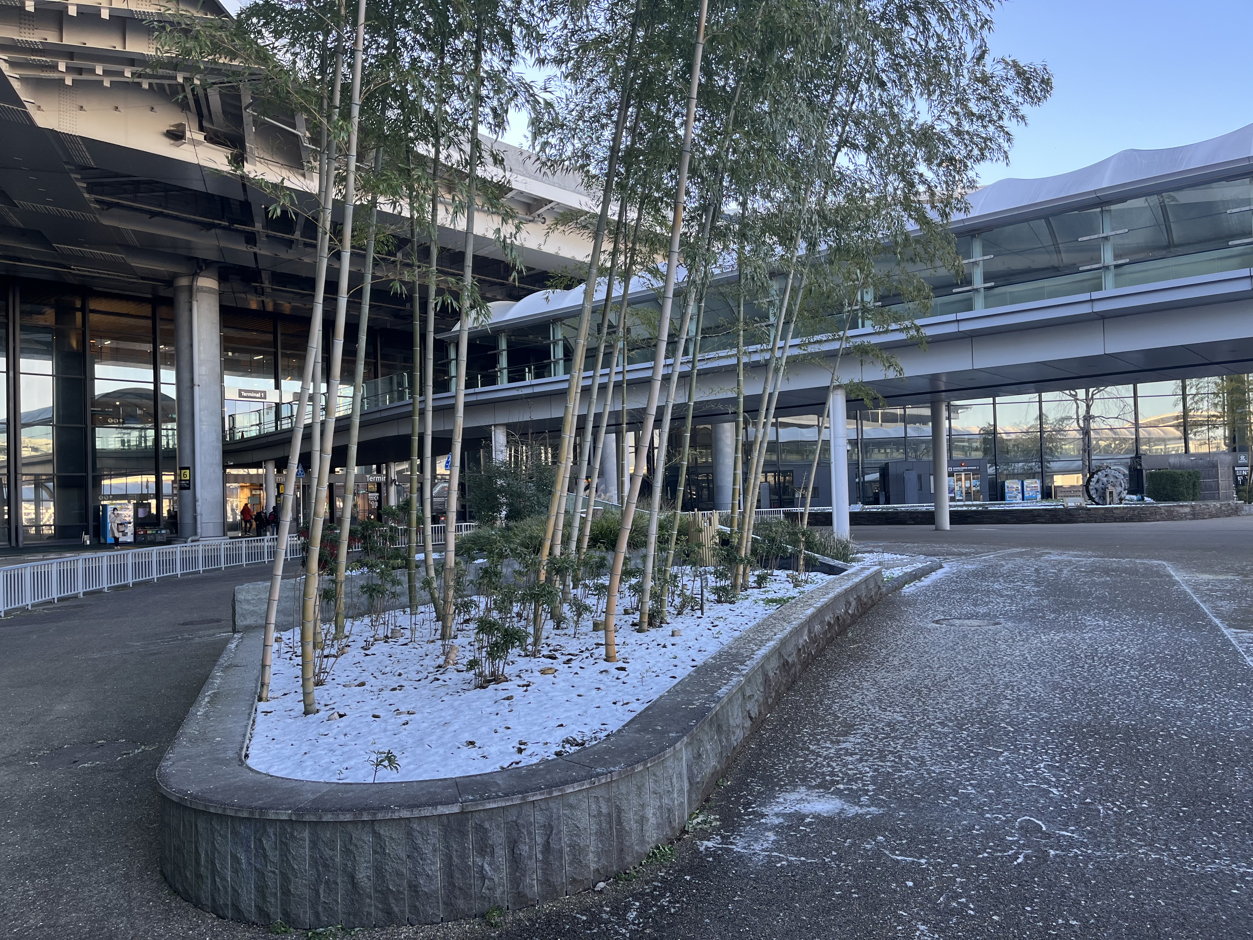 初雪