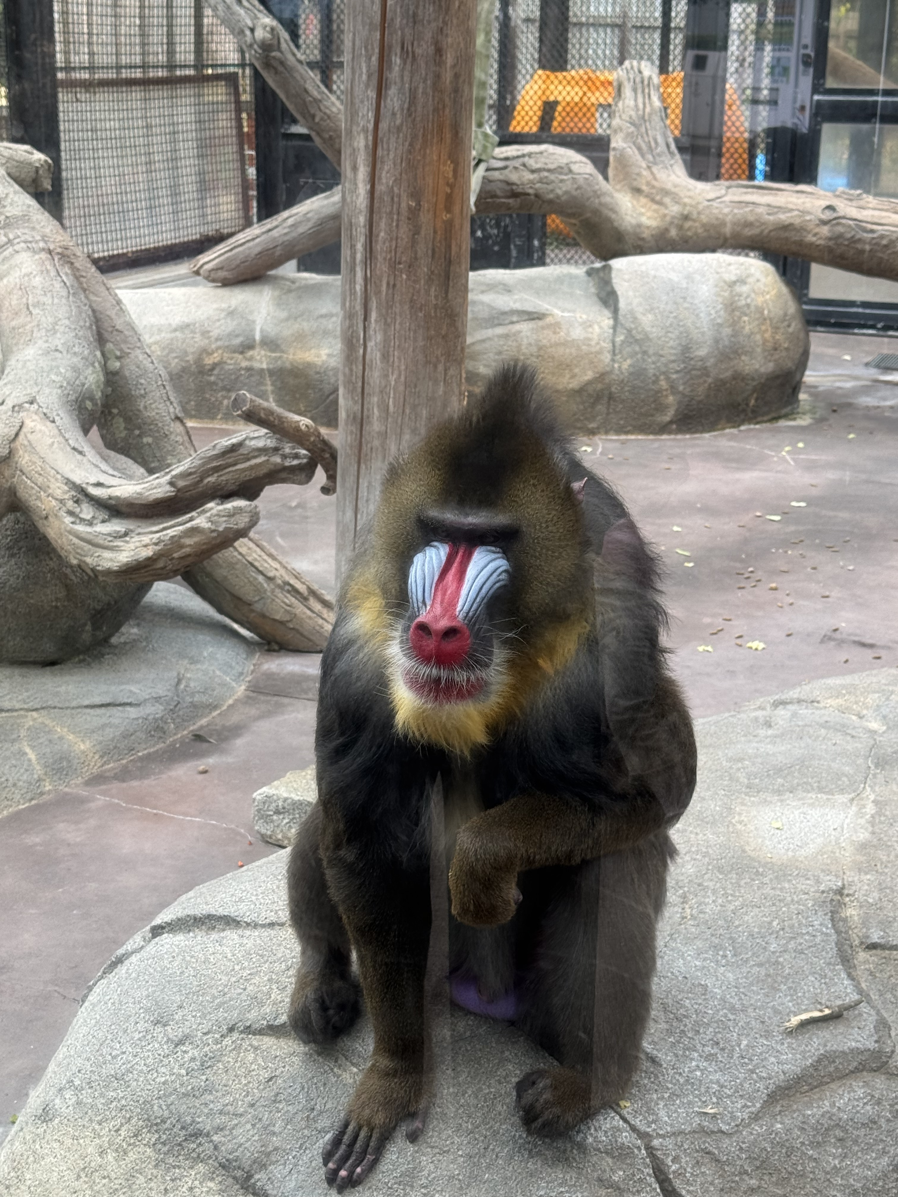 動物園