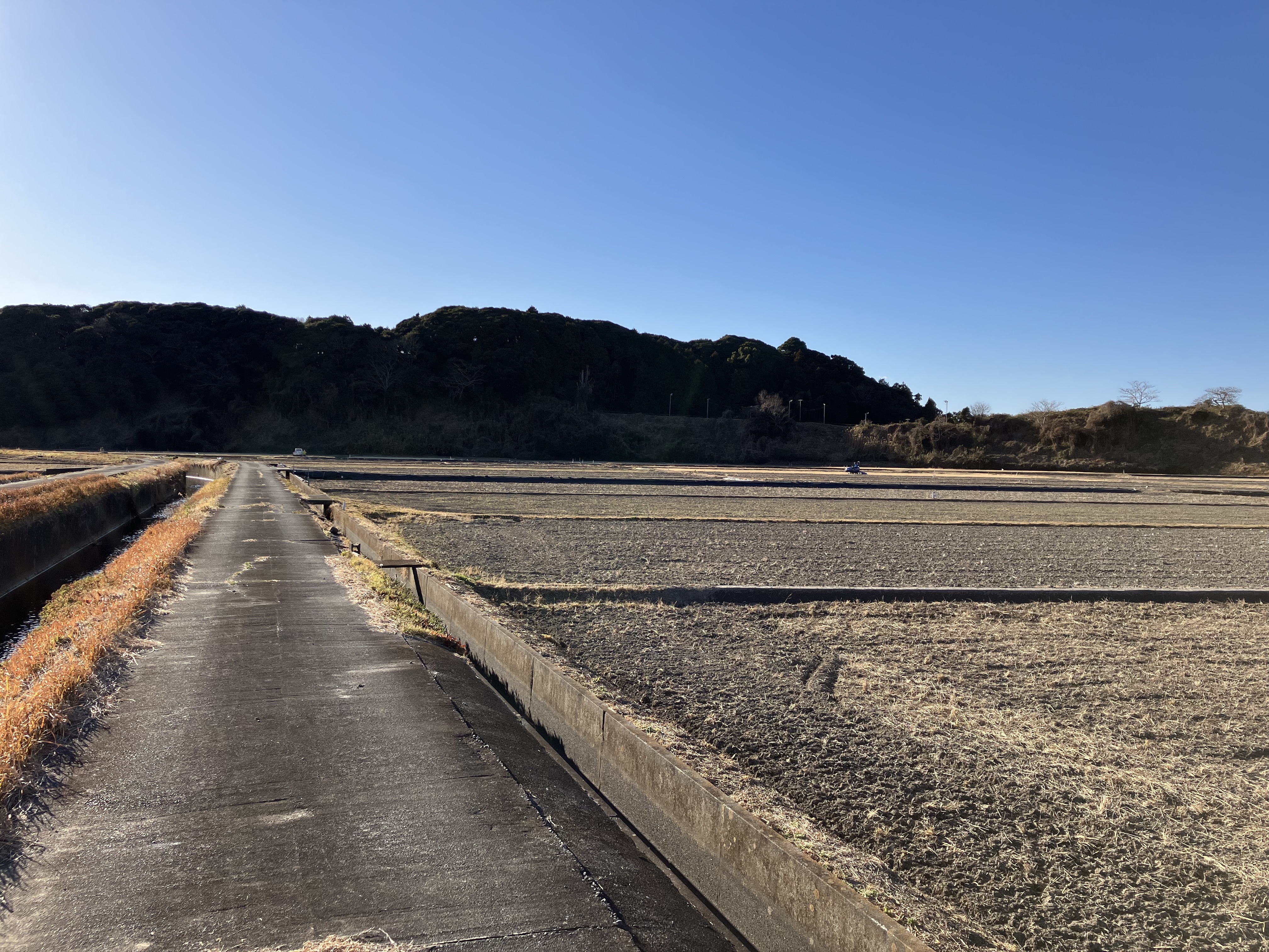 冬の散歩道