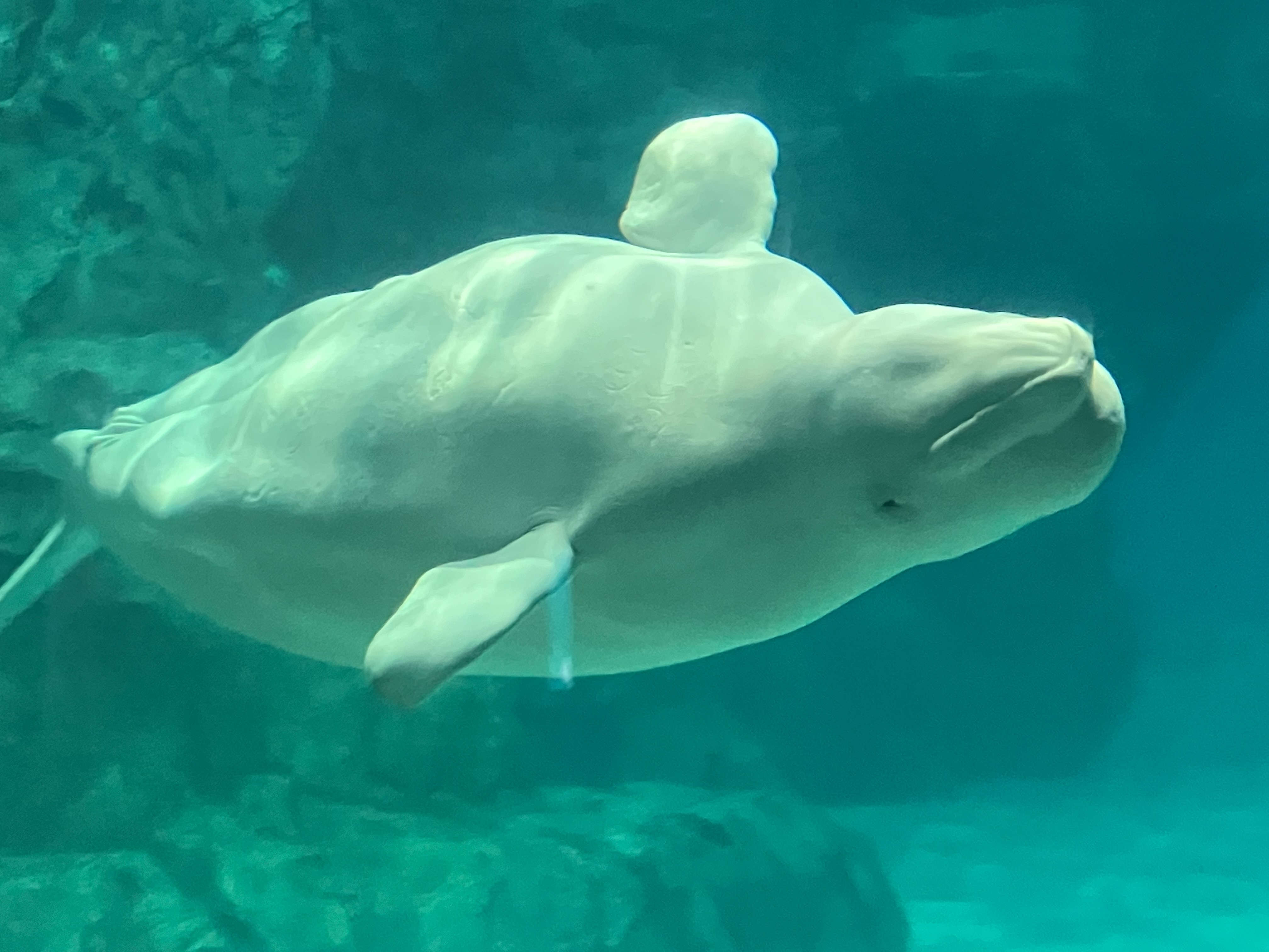 水族館