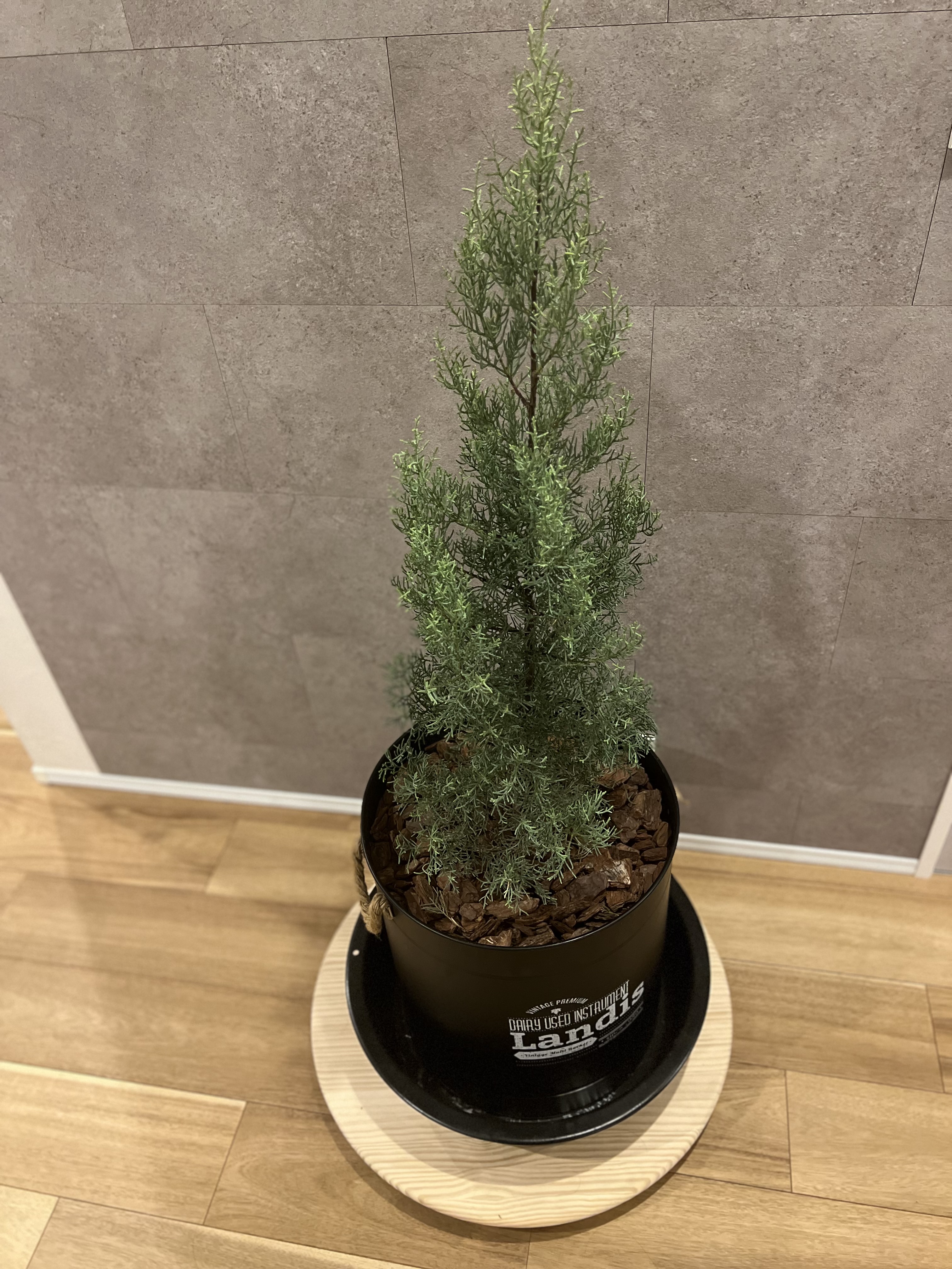 木