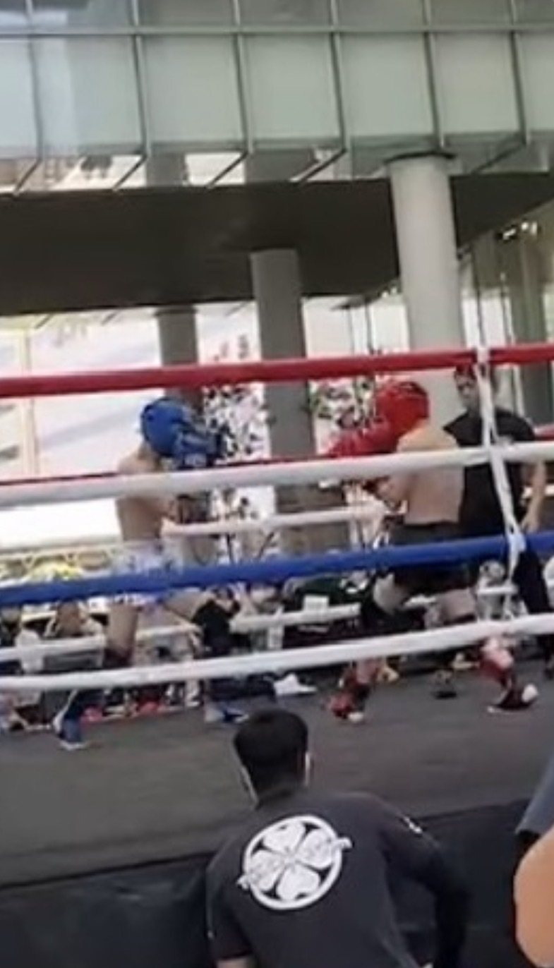 デビュー戦