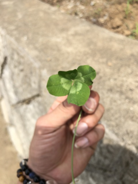 みーつけた！