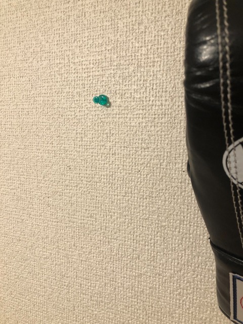 1B0C668D-F038-46F0-A900-40746B8903D7