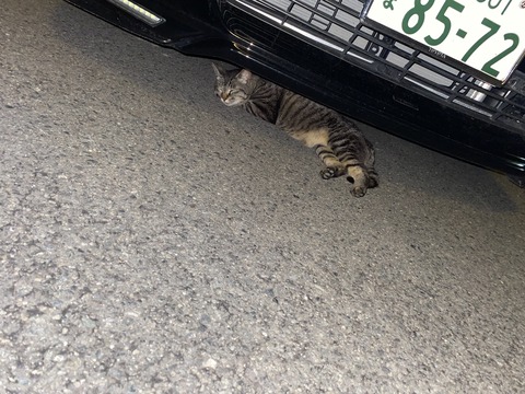 温暖化